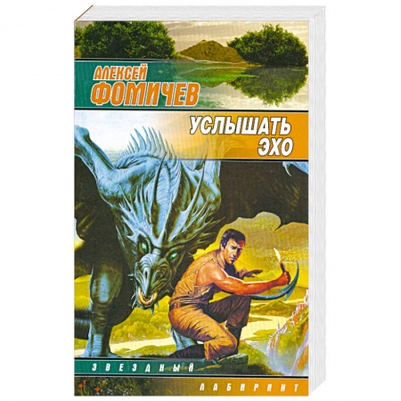 Книги, книга Услышать эхо