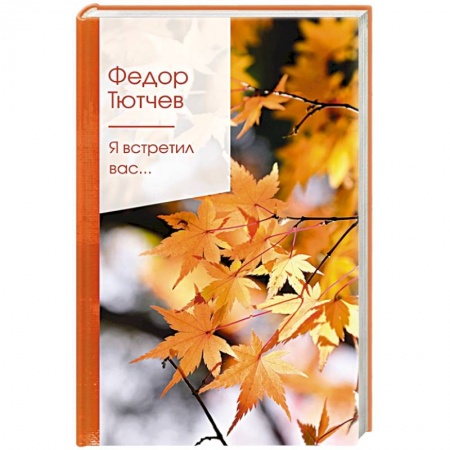 Классика, современная литература, книга Я встретил вас...