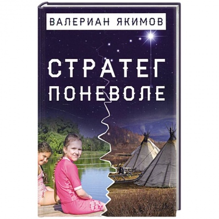 Публицистика, книга Стратег поневоле