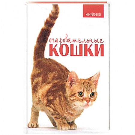 Книги, книга Очаровательные кошки
