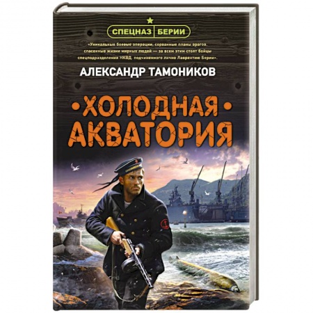 Детективы, триллеры, книга Холодная акватория