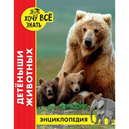 Познавательная литература, книга Энциклопедия. Детёныши животных