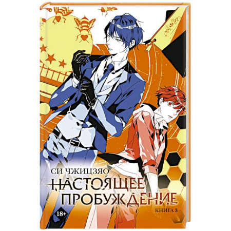 Фантастика, фэнтези, книга Настоящее пробуждение. Real Awakening. Книга 3