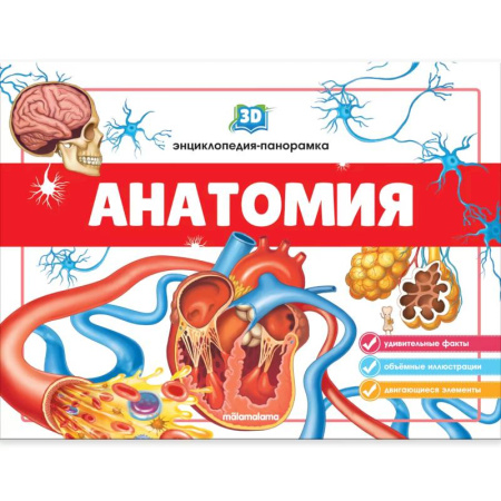 Досуг, творчество и кулинария, книга Анатомия. 3D-энциклопедия-панорамка