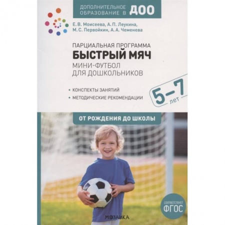 Учителям, педагогам, воспитателям, книга Парциальная программа Быстрый мяч .Мини-футбол для дошкол.ФГОС