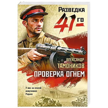 Детективы, триллеры, книга Проверка огнем