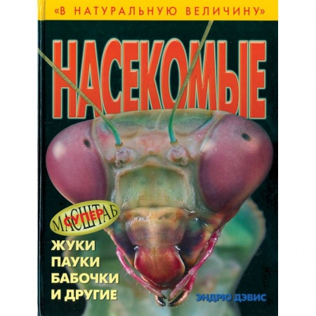 Книги, книга Насекомые