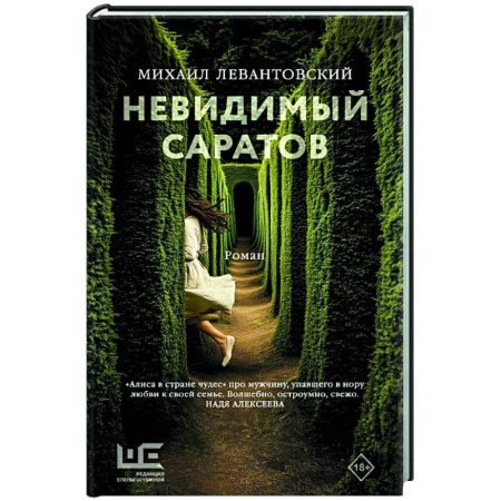Классика, современная литература, книга Невидимый Саратов