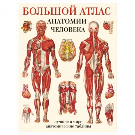 Книги, книга Большой атлас анатомии человека