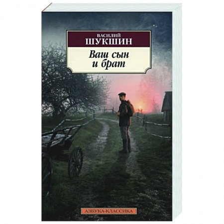 Классика, современная литература, книга Ваш сын и брат