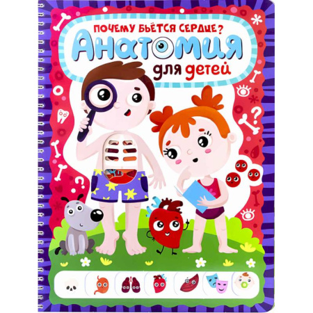 Познавательная литература, книга Анатомия