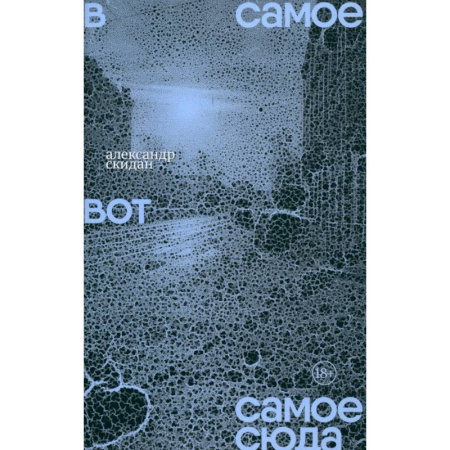 Классика, современная литература, книга В самое вот самое сюда