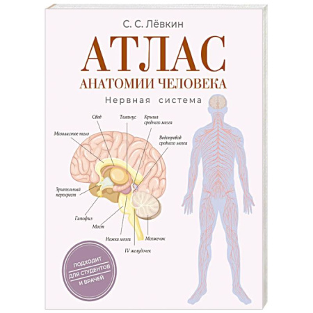 Медицинские энциклопедии и справочники, книга Атлас анатомии человека. Нервная система