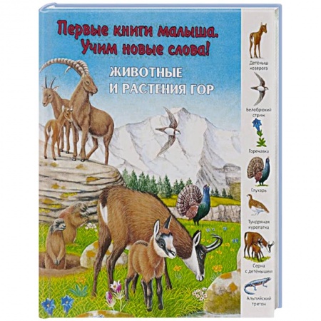 Книги, книга Животные и растения гор