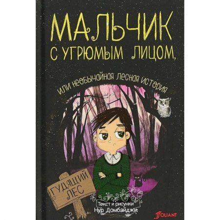 Сказки, книга Мальчик с угрюмым лицом, или необычайная лесная история