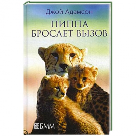 Книги, книга Пиппа бросает вызов