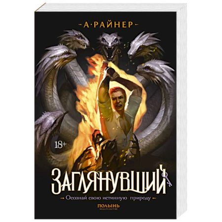 Фантастика, фэнтези, книга Заглянувший