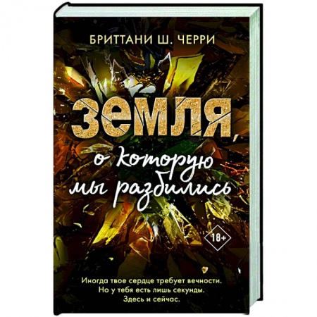 Любовный роман, книга Земля, о которую мы разбились