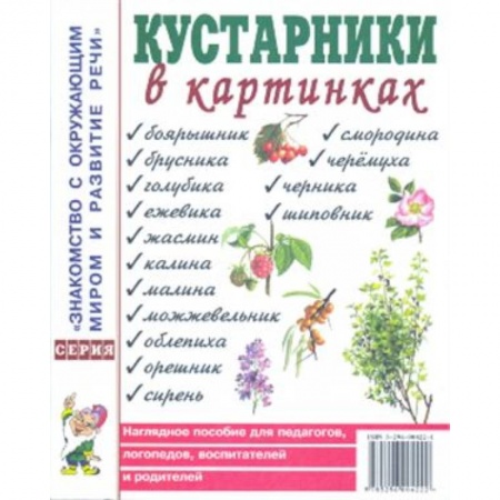 Книги, книга Кустарники в картинках. Наглядное пособие для педагогов, логопедов, воспитателей и родителей