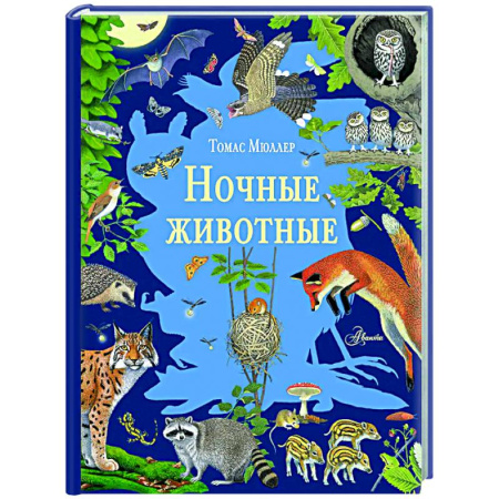 Познавательная литература, книга Ночные животные