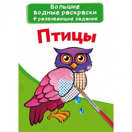 Досуг, творчество и кулинария, книга Большие водные раскраски. Птицы