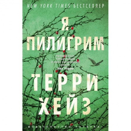 Детективы, триллеры, книга Я Пилигрим