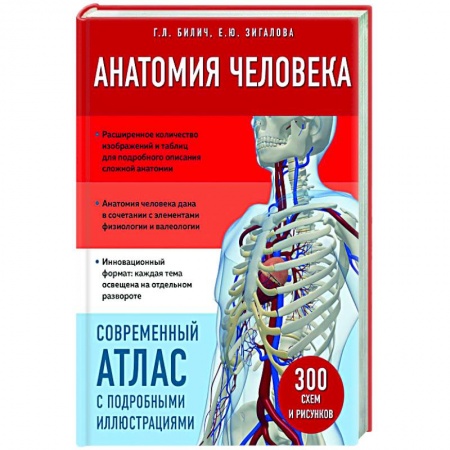 Медицинские энциклопедии и справочники, книга Анатомия человека. Современный атлас с подробными иллюстрациями