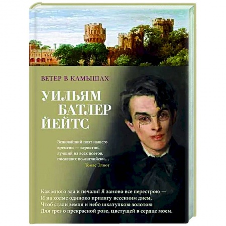 Классика, современная литература, книга Ветер в камышах