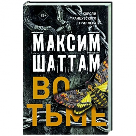 Детективы, триллеры, книга Во тьме