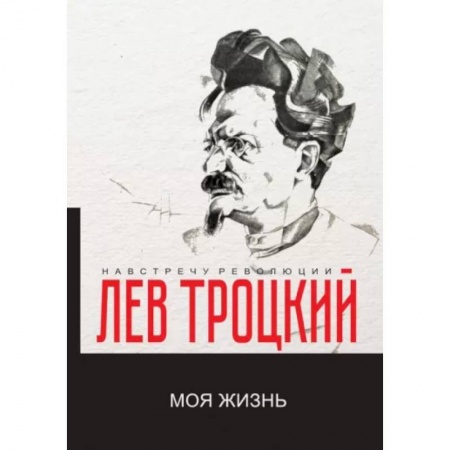 Мемуары, биографии, книга Моя жизнь