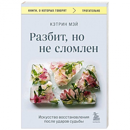 Общественные и гуманитарные науки, книга Разбит, но не сломлен. Искусство восстановления после ударов судьбы