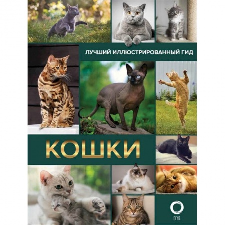 Общие справочники, книга Кошки. Лучший иллюстрированный гид