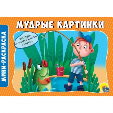 Досуг, творчество и кулинария, книга Раскраски А5. Альбомные. Мудрые картинки