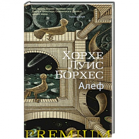 Классика, современная литература, книга Алеф