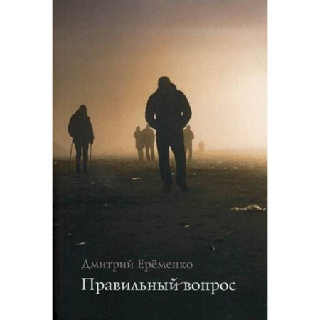 Классика, современная литература, книга Правильный вопрос