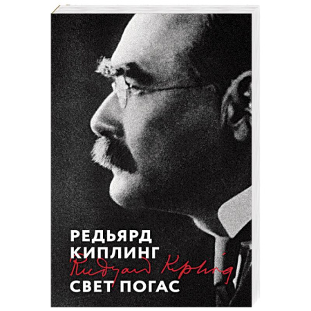 Классика, современная литература, книга Свет погас
