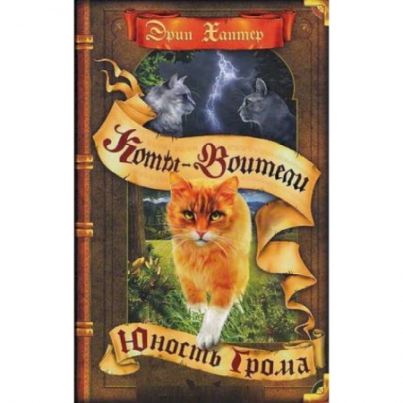 Проза для детей, книга Коты-воители. Юность Грома
