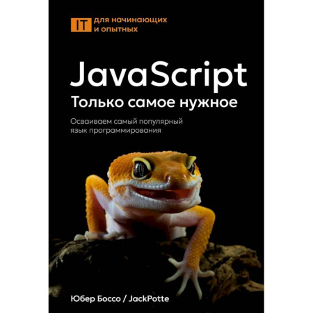 Информационные технологии, книга JavaScript, только самое нужное