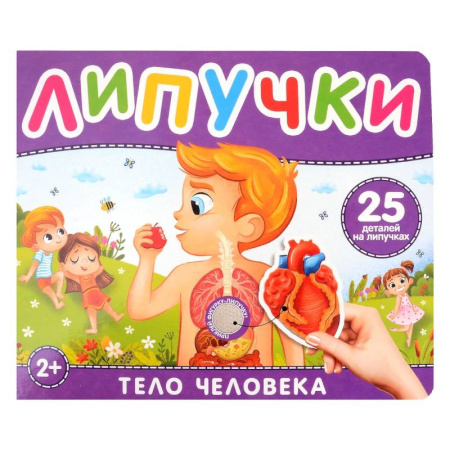 Познавательная литература, книга Тело человека. Книга с липучками
