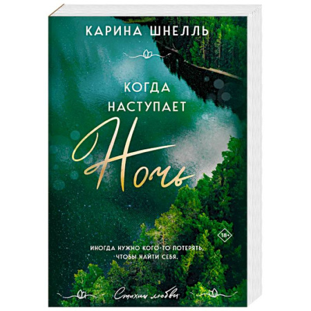 Классика, современная литература, книга Когда наступает ночь