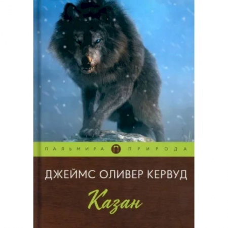 Классика, современная литература, книга Казан