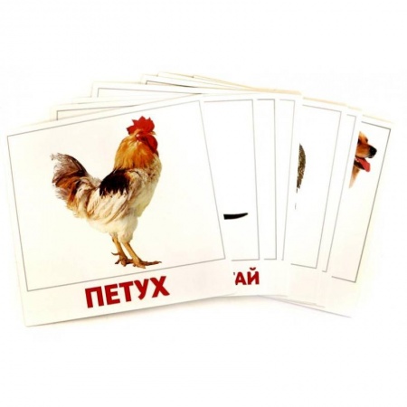 Книги для самых маленьких (0-3 года), книга Домашние животные