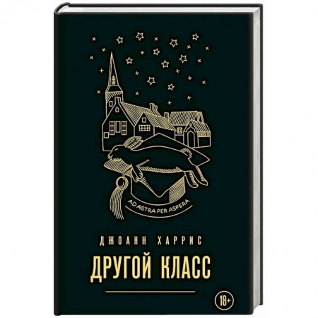 Классика, современная литература, книга Другой класс