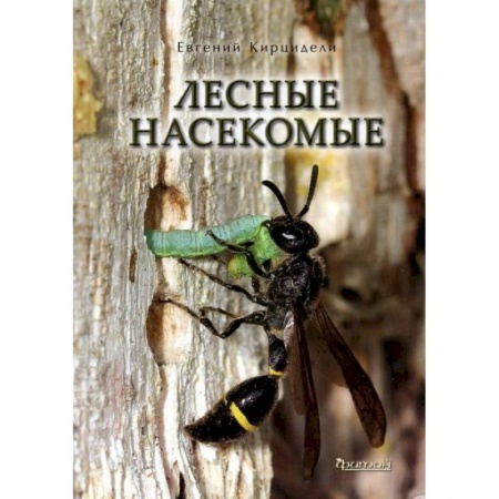 Естественные науки, книга Лесные насекомые
