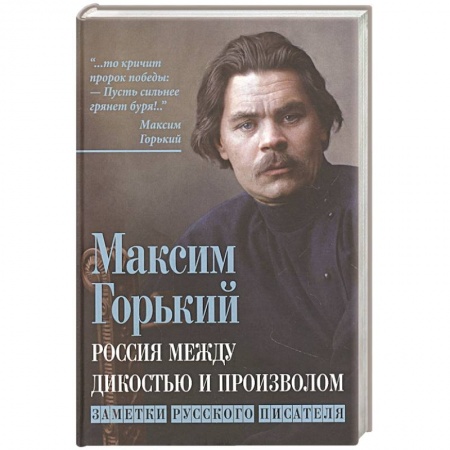 Публицистика, книга Россия между дикостью и произволом