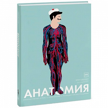 Анатомия Анатомия