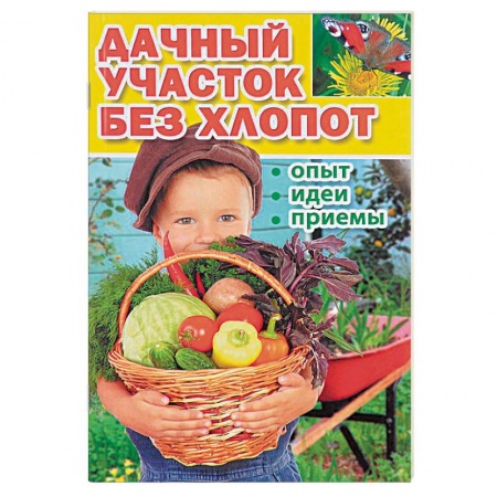 Сад, огород, цветы, дизайн участка, книга Дачный участок без хлопот. Опыт, идеи, приемы