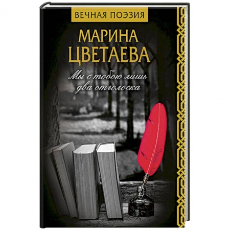 Классика, современная литература, книга Мы с тобою лишь два отголоска