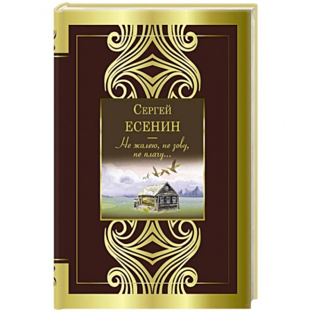 Классика, современная литература, книга Не жалею, не зову, не плачу...