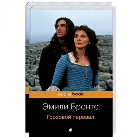 Классика, современная литература, книга Две сестры (комплект из 2 книг)
